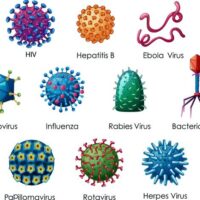 cuantos-virus-existen-actualmente